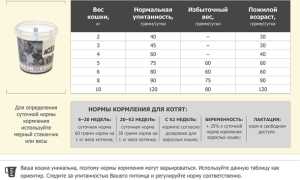 Сколько в День Должен Есть Котенок в 3 Месяца Таблица • Приучение к твердой еде