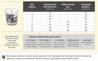 Сколько в День Должен Есть Котенок в 3 Месяца Таблица • Приучение к твердой еде
