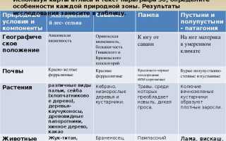 Географическое Положение Южной Америки Экваториальные Леса Таблица • Словарь ефремовой
