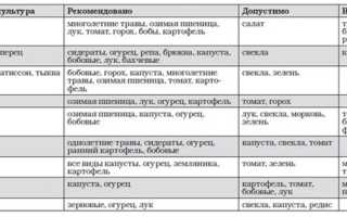 После Чего Сажать Чеснок на Зиму Таблица • Обрабатываем землю