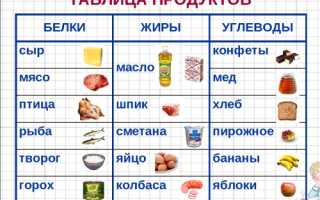 Что Относится к Белкам Жирам Углеводам Таблица Продуктов • Что такое белок