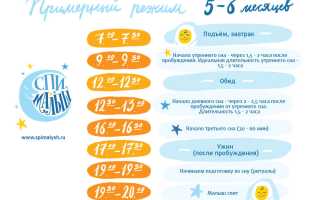 Режим Дня Ребенка в 5 Месяцев на Грудном Вскармливании по Часам Таблица • Свободное вскармливание