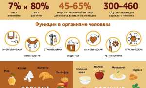 В Каких Овощах Содержится Меньше Всего Углеводов Таблица • Простые углеводы