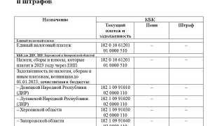 Кбк Пени на Налог на Доходы Физических Лиц на 2024 Год Таблица • Кбк ндфл 2024 дивиденды