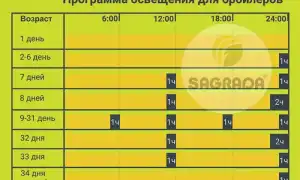 Температура Для Бройлеров в Домашних Условиях Таблица Помещении • Лампы для освещения