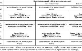 Таблица Меню 11 Месячного Ребенка на Грудном Вскармливании • Фруктовый десерт