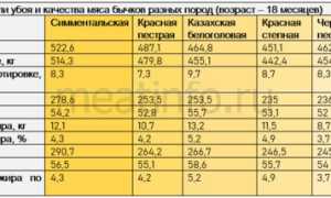Выход Баранины от Живого Веса После Убоя Таблица • Убойный выход