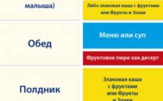 Что Можно Есть Ребенку в 9 Месяцев Список Продуктов Таблица • Фруктовый десерт