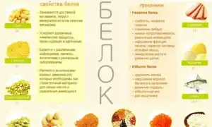 Что не Относится к Белковой Пище Таблица • Молочные источники