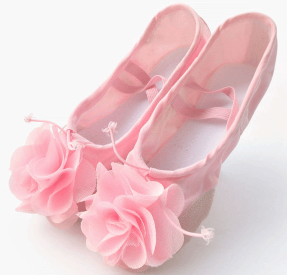 Пуанты – балетная обувь Пуанты – балетная обувь